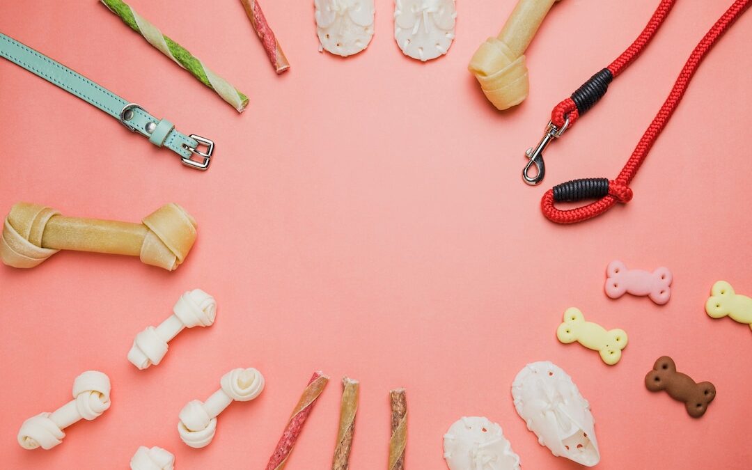 Mejores Accesorios para Cachorros
