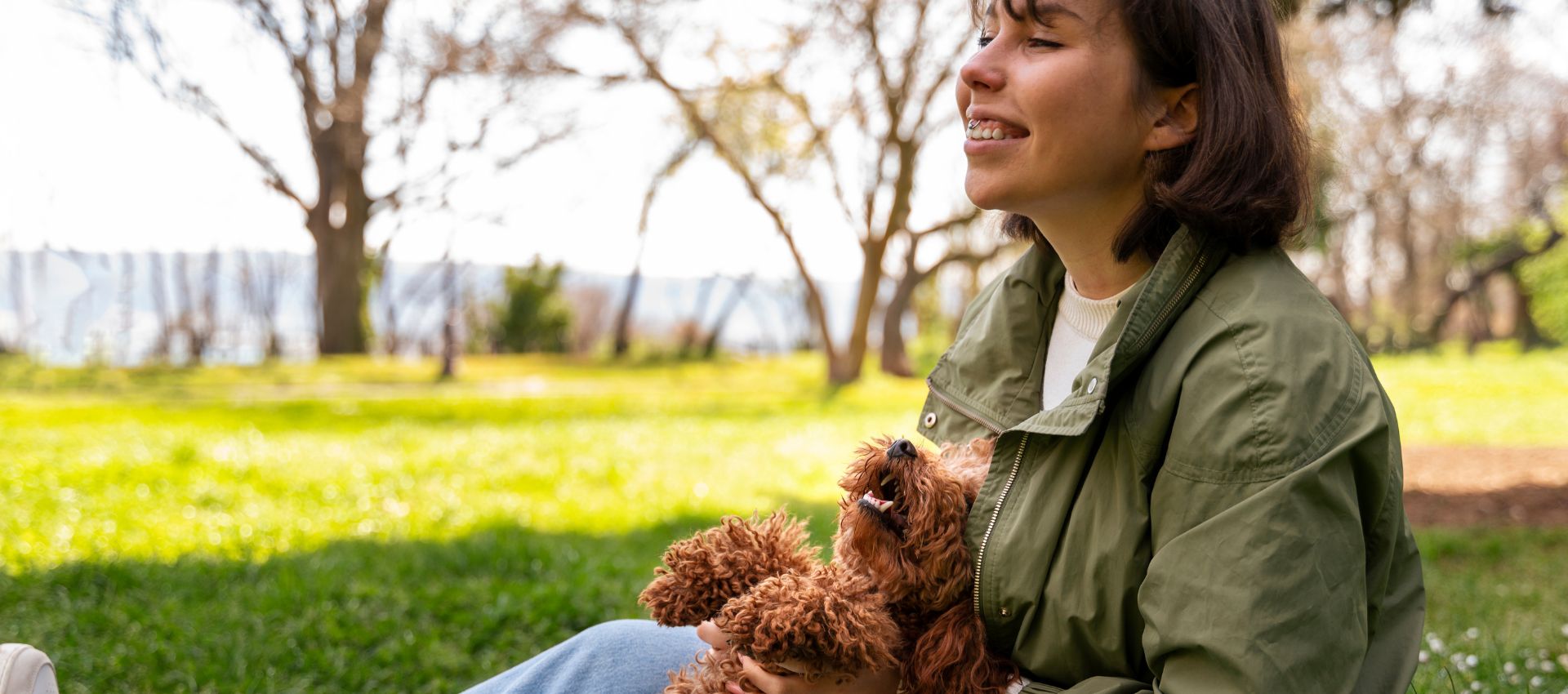 Un perro pequeño jugando en un parque canino de Miami