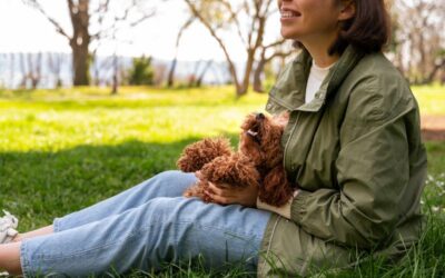 Los 7 mejores parques para perros pequeños en Miami (Edición 2026)