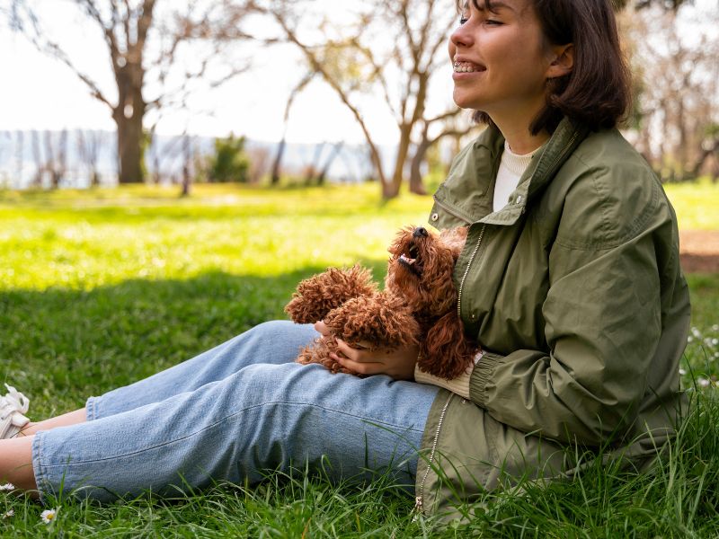 Los 7 mejores parques para perros pequeños en Miami (Edición 2026)