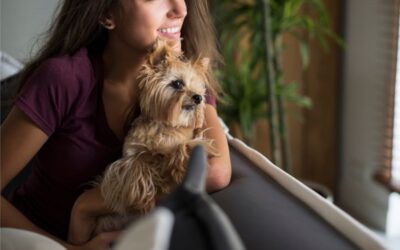 Vivir con mascotas en condominios de Miami: razas pequeñas ideales y regulaciones