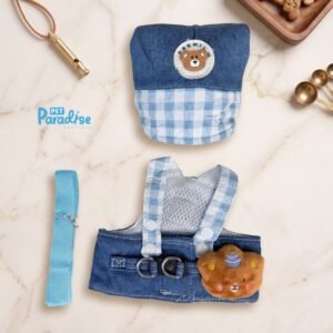 pechera azul con gorro 01