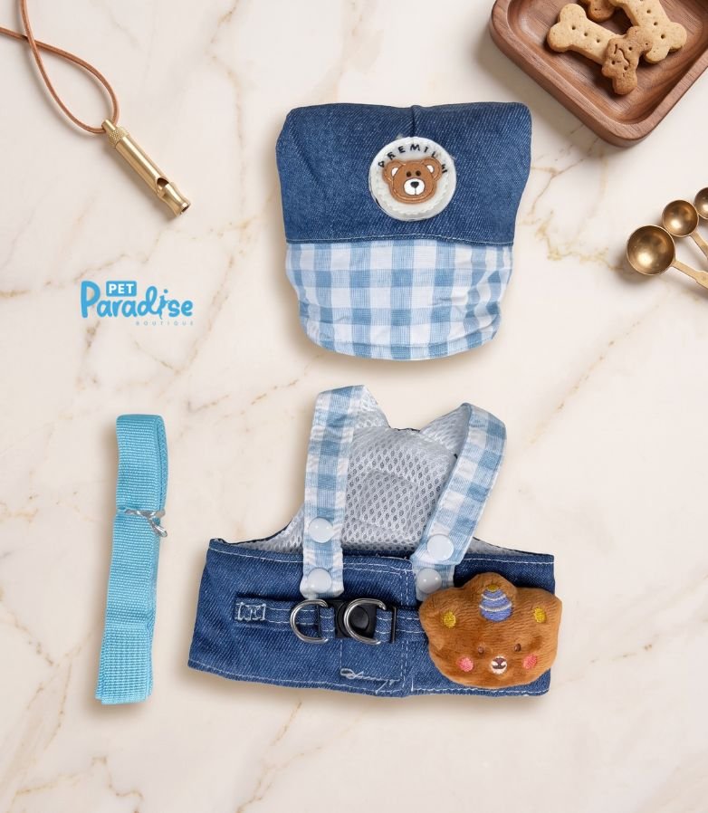 pechera azul con gorro 01